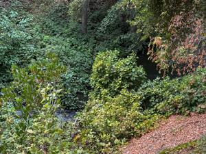 Los Gatos Flume Trail 2